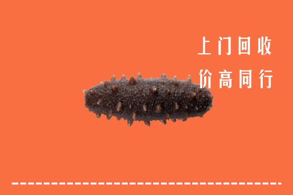 高价求购：庐江县回收海参